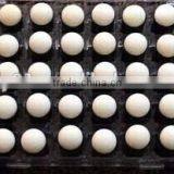 Factory Very Hot Finger Sponge Dauber / Wholesale Sponge Dauber/ Sponge Dauber thumbnail-2