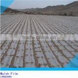 PE Agricultural Mulch Film thumbnail-1