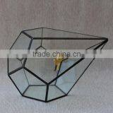 Glass Vases Terrarium Ornament Indoor Plant Greenhouse Handblown Glass Terrarium thumbnail-2