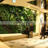 SJ0409009 Factory Wholesale Customized Plant Wall /making Design Plant Foliage Wall thumbnail-4