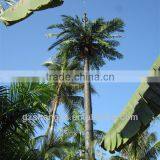 Wholesale Coconuts,artificial Bonsai Tree,fake Coconut Tree thumbnail-1