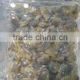 Frozen Shellfish and Boiled Mussel Meat in Season thumbnail-3