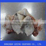 Frozen Giant Squid Neck BQF Peru