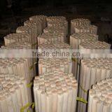 Broomstick Facebook thumbnail-6