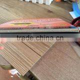 the Strongest Sticky Paper Rat Glue Books With 4c Printing 1pack With Milk Scents thumbnail-1