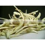 Chlorophytum Borivilianum Extract thumbnail-4