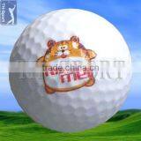 Funny Logo Printed Golf Ball for Sale thumbnail-1