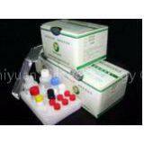 Streptomycin ELISA Test Kit thumbnail-3