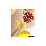 Golden Flower thumbnail-1