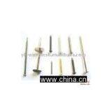 Common Nails thumbnail-1