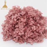 Grade A Preserved Dyed Hydrangea Flowers for Wedding Home Decoration and Events