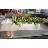 Vegetable Root Cutting Machine thumbnail-4