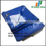 Blue/White Tarpaulin Sheet, 4*5m, 125 Gr/sqm thumbnail-1