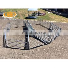 China factory wholesale high quality galvanized Cattle Chutes