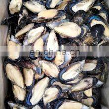 Frozen Half Shell Mussels Half Shell Mussel Meat Mytilus Edulis thumbnail-2