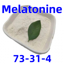 high quality Melatonine cas：73-31-4 low price FU-BAKD F-UBAKB 99% powder