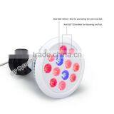 Hot Sale E27 12w/24w Red/Blue Emitting Color PAR38 Family Indoor LED Plant Lamp thumbnail-2