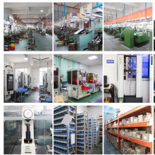Dongguan Dalang Dongxin Hardware Factory company overview - view 1 thumbnail