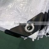 china pe tarpaulin factory with manufacturer price