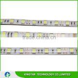 30LEDs/m High Lumen 5050 Smd Led Strip thumbnail-1