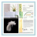 New Arrival Product Wholesale Cheap 2-4cm White Duck Fether Pillow thumbnail-2
