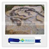 Make Dinosaur Bones Manufacturer in China