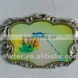 2012 Dragonfly Fridgemagnet 0073