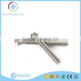 High Quality 304 Stainless Steel Articulated Screw thumbnail-4