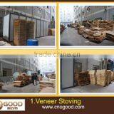 Foshan Ogood Furniture Co., Ltd. company overview - view 1 thumbnail