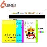 Four Color Magnetic Strip Gift Cards