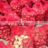 YELLOW ONION 2014 thumbnail-2