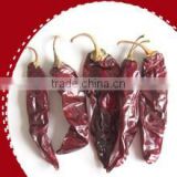 2012 new crop dried red chilli