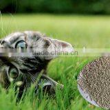 Premium Clumping Bentonite Cat Litter Manufacturer thumbnail-6