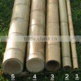 Using Effectively With Bamboo Pole for Garden thumbnail-1