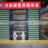 H Type Poultry Farm Egg Collection System