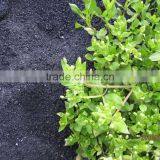 P2O5 57% Diammonium Hydrogen Phosphate Fertilizer DAP thumbnail-3