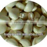 Most Popular and Big Capacity Garlic Peeling Machine With Best Price