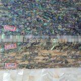 New Zealand Abalone Laminated Veneer