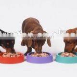 Intentional Lab Extruder for Making Pet Pellet Food thumbnail-4