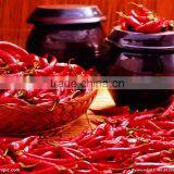 FP-05 Shanghai Commercial Chilli Pepper Making Machine thumbnail-5