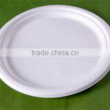 9 Inch Disposable Biodegradable Sugarcane Plates P013 thumbnail-1