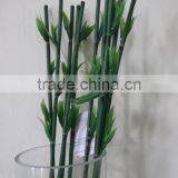 Spiral Lucky Bamboo Pole/dracaena Wandering, Decorative Bamboo Plant thumbnail-3