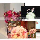 Hebei Huiya Spherical Shapes of Floral Foam Supplies thumbnail-6