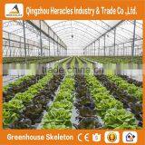 Heracles Economical Plastic Commercial Low Cost Multi Span Plastic Greenhouses With Automatic Irrigation System thumbnail-3