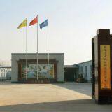 Shijiazhuang Hongsu Textile Import & Export Co.,Ltd. company overview - view 1 thumbnail