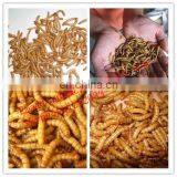 the Barley Worm Screening Machine , Superworm Separator thumbnail-6