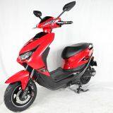 Electric Motorcycle Electric Bike Electric Scooter 2 Wheel 800W for Adults thumbnail-4