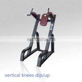 Commercial Precor Gym Equipment Vertical Knees Dip / up Machine thumbnail-1