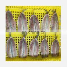 Good Quality Boneless IQF Frozen Sardine Fish Fillet thumbnail-5