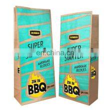Customized Laminated Waterproof BBQ 2.5kg 5kg Charcoal Paper Bag
